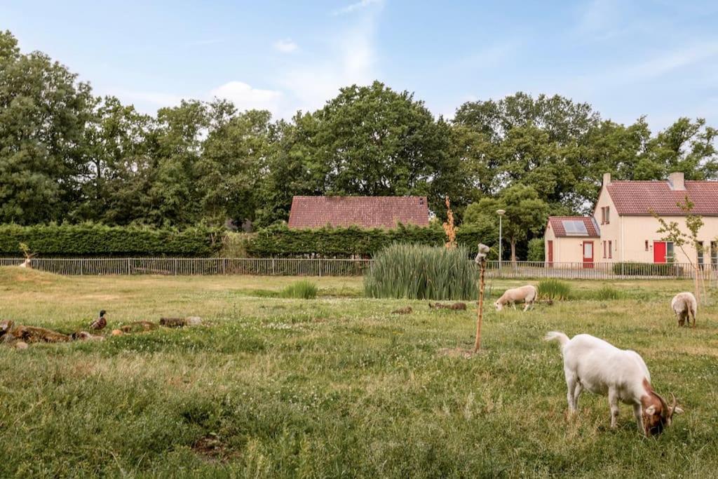 Vakantiehuis Aan Het Water -Incl Laadpaal- Ewijk Exteriör bild